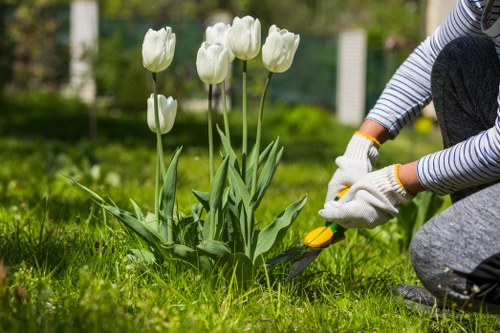 Safe and professional gardening service in Hillingdon