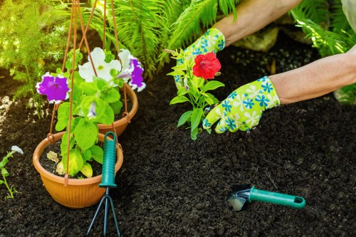 Overgrown garden restoration by gardeners in Hillingdon