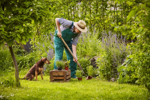 Well-kept Hillingdon garden with pruned shrubs and fresh planting