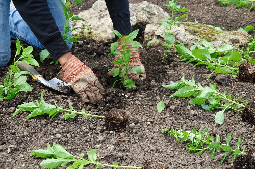 Reusable garden items prepared for charity donation