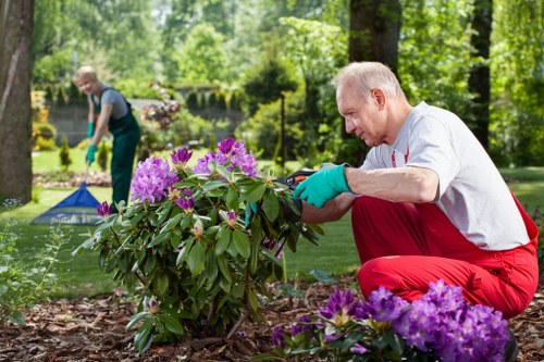 Clearing debris and shrubs from a Hillingdon garden