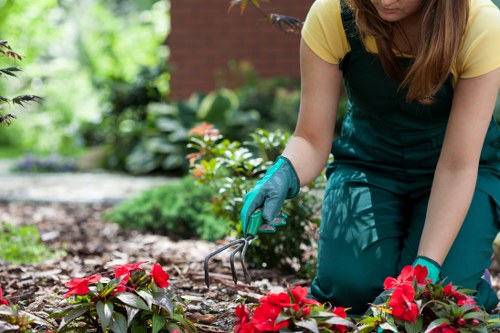 Front garden landscaping in Hillingdon with clean paving and greenery