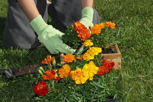 Visual showing marketing cookie categories for local gardeners