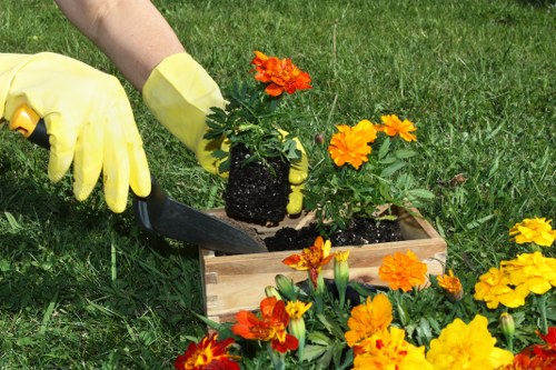 Professional lawn care in Hillingdon supporting a greener, stronger garden