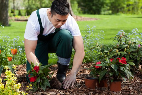 Reporting concerns and safeguarding in gardening services