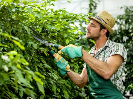 Garden clearance and soil care service in Hillingdon for a tidy outdoor space
