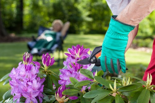 Garden mowing service maintaining a tidy lawn in Hillingdon