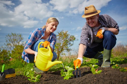 Image representing analytics tracking for a gardening service site