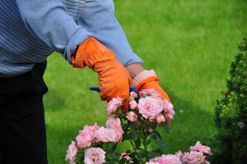 Aeration and soil improvement for lawn care in Hillingdon gardens
