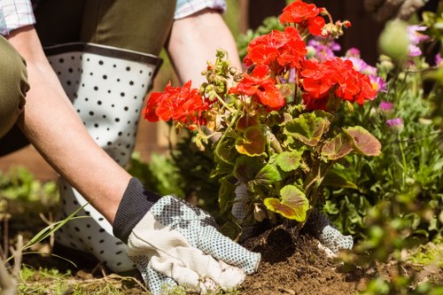 Autumn garden tidy-up with leaf clearance in Hillingdon