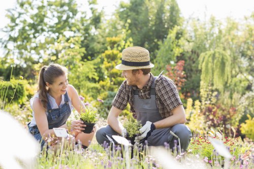 Free quote for hedge trimming and garden maintenance in Hillingdon