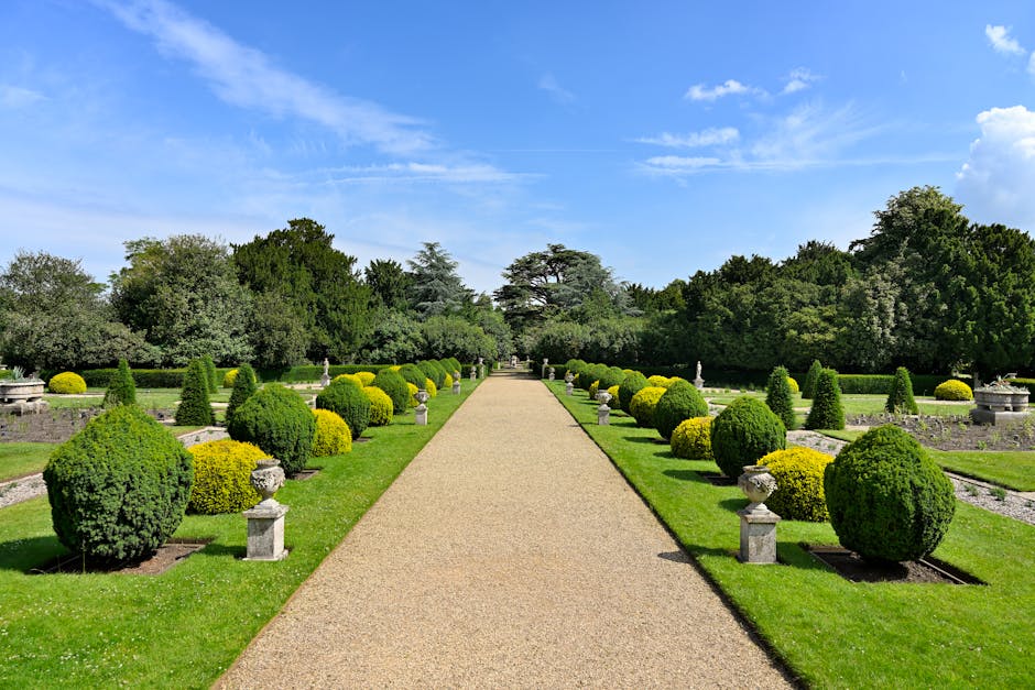A neatly maintained formal garden features a straight central gravel pathway flanked by symmetrical plantings, including rounded boxwood shrubs and small conical evergreens arranged in rectangular bed