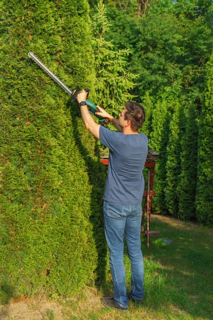 A man wearing a blue t-shirt and jeans is trimming a tall, dense hedge with a long-handled electric hedge trimmer. The hedge is lush and green with uniform, well-maintained foliage, serving as a natur